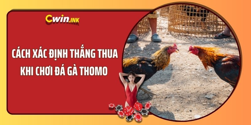 Cách xác định thắng thua khi chơi đá gà Thomo 