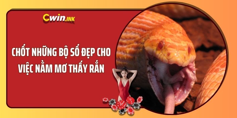 Chốt những bộ số đẹp cho việc nằm mơ thấy rắn 