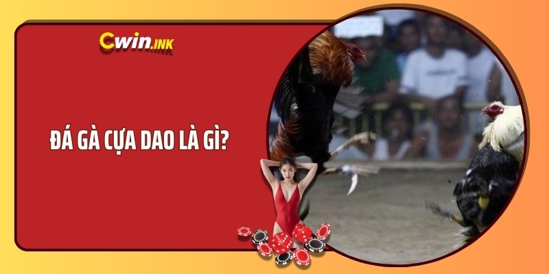 Đá gà cựa dao là gì? 