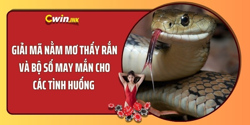 Giải Mã Nằm Mơ Thấy Rắn Và Bộ Số May Mắn Cho Các Tình Huống