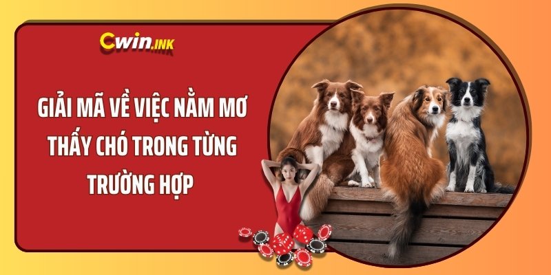 Giải mã về việc nằm mơ thấy chó trong từng trường hợp 