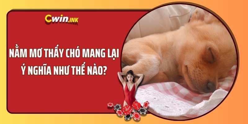 Nằm mơ thấy chó mang lại ý nghĩa như thế nào?