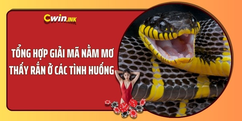 Tổng hợp giải mã nằm mơ thấy rắn ở các tình huống 